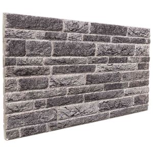 vidaXL Zidne panele 10 kom. 100 x 50 cm Antracit EPS pjena
