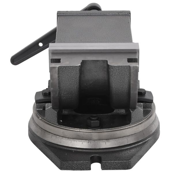 vidaXL Nagibna stega s 2 osovine 160 mm