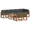 vidaXL Set vanjskih sofa s jastukom 9 pcs Prirodna i antracit