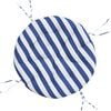 Blue_and_white