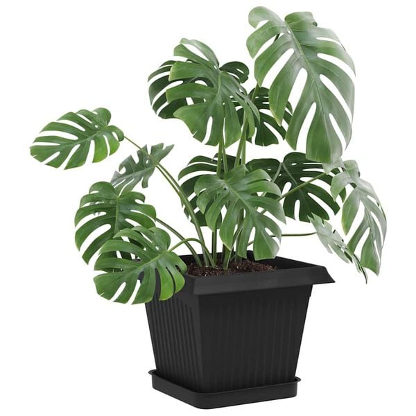 Prikazuje se slika proizvoda 3 od 10