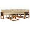 vidaXL Set vanjskih sofa s jastukom 6 pcs Prirodna i bež
