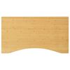 vidaXL Ploča za radni stol 100 x 60 x 2,5 cm od bambusa