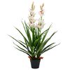 vidaXL Umjetna biljka Cymbidium Orhideja s posudom 100 cm zelena