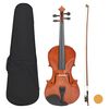 vidaXL Kompletni violinski set s gudalom i podbratkom Natural 4/4