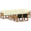 vidaXL Set vanjskih sofa s jastukom 9 pcs Prirodna i krem