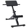 vidaXL Klupa za hiperextenziju Crna 100,5 x 70 x 78 cm