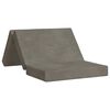 vidaXL Sofa na razvlačenje 80 x 67 x 45 cm Svjetlosiva