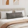 vidaXL Jastučići za sofu 2 pcs Svijetlo siva 120 x 40 cm