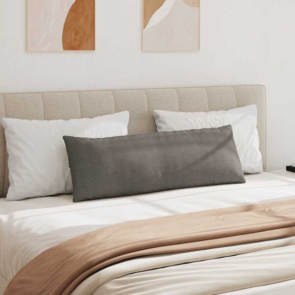 vidaXL Jastučići za sofu 2 pcs Svijetlo siva 120 x 40 cm