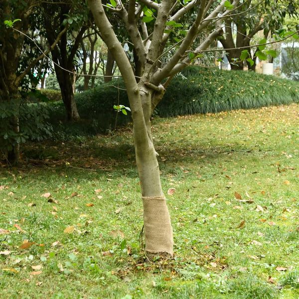 vidaXL Rola jute 0,25x100 m 100 % juta 200 g/m²