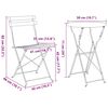 vidaXL Sklopivi bistro set 3 pcs Antracit Čelik