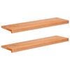 vidaXL Step treads 2 kom. 100 x 25 x 2 cm Lak Čvrsto drvo bukve