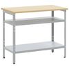 vidaXL Radni Stol Siva 100 x 55 x 85 cm Čelik s prahom premazan