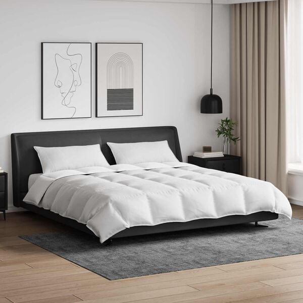 vidaXL Set deka s jastukom 3 pcs Bijelo Perje