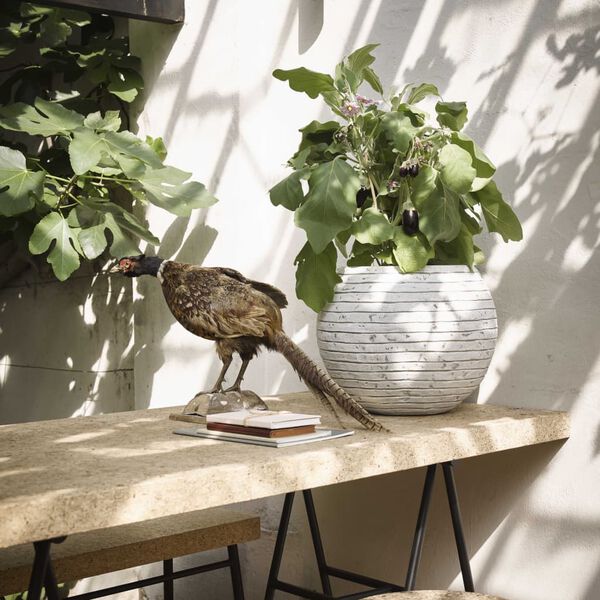 Capi vaza Nature Row okrugla 40 x 32 cm boja bjelokosti KRWI270