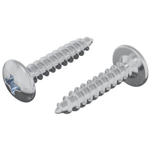 vidaXL Samoupravni čavao 2 pcs Cinkom premazano 4 x 20 mm Čelik