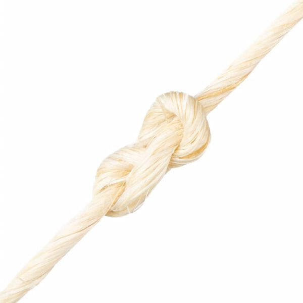 vidaXL Uže od 100 % sisala 2 mm 600 m