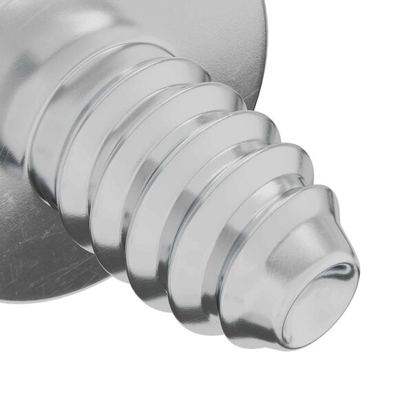 vidaXL Zaključni vijci 12 pcs Srebrno M4 x 5 mm Željezo