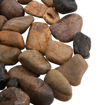 vidaXL Polirani kamenčići 25 kg raznobojni 2 - 5 cm