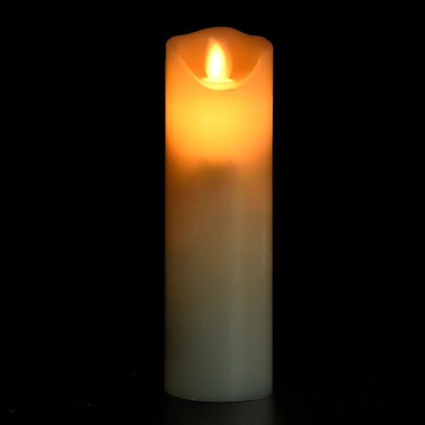 vidaXL 5-dijelni set električnih LED svijeća s daljinskim topli bijeli