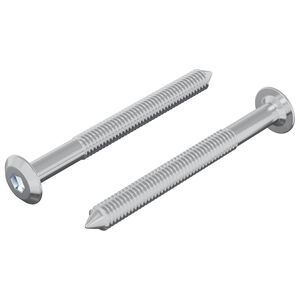 vidaXL Vijak 2 pcs Srebrno M6 x 60 mm Čelik