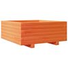 vidaXL Vrtna sadilica voštano smeđe boje 60x60x26,5 cm od borovine