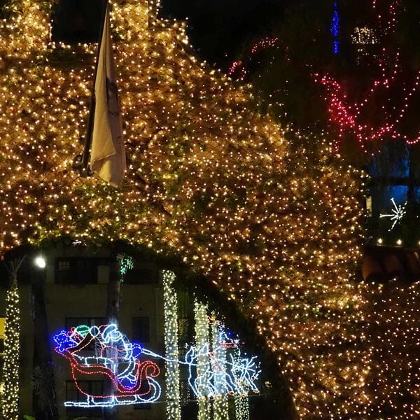 vidaXL Led Mreža Tamnozelena