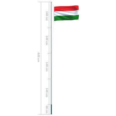 vidaXL Mađarska zastava s aluminijskim stupom 6,2 m