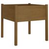 vidaXL Vrtne sadilice 2 kom boja meda 70 x 70 x 70 cm masivna borovina