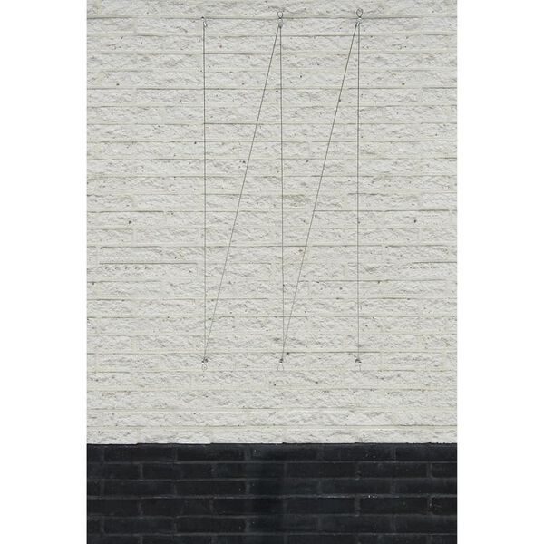 Nature set žičanih rešetki za biljke penjačice 2 kom