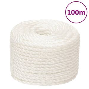 vidaXL Radno uže bijelo 10 mm 100 m od polipropilena