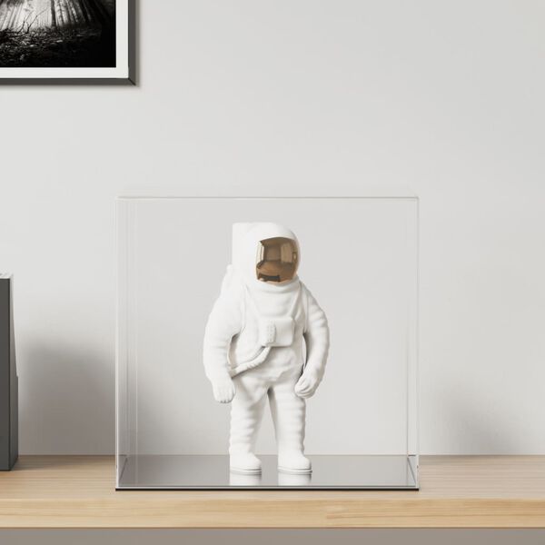 vidaXL Kutija za izlaganje prozirna 40 x 36 x 35 cm akrilna