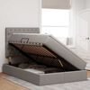 vidaXL Krevet s prostorom za pohranu s LED-om Sivo-smeđa 120 x 190 cm