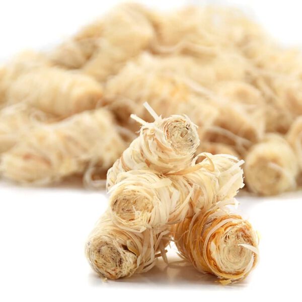 vidaXL Potpaljivači BIO 20 kg