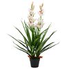 vidaXL Umjetna biljka Cymbidium Orhideja s posudom 100 cm zelena