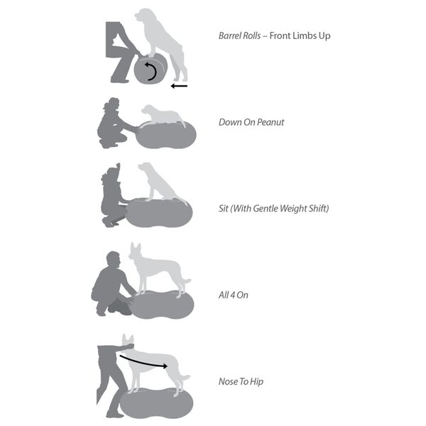 FitPAWS platforma za ravnotežu ljubimaca Trax Peanut 60 cm plava