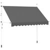 vidaXL Tenda na ručno uvlačenje 300 cm antracit