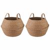vidaXL Saksija za biljke s ručkama 2 pcs Prirodna &Oslash; 32 x 32 cm