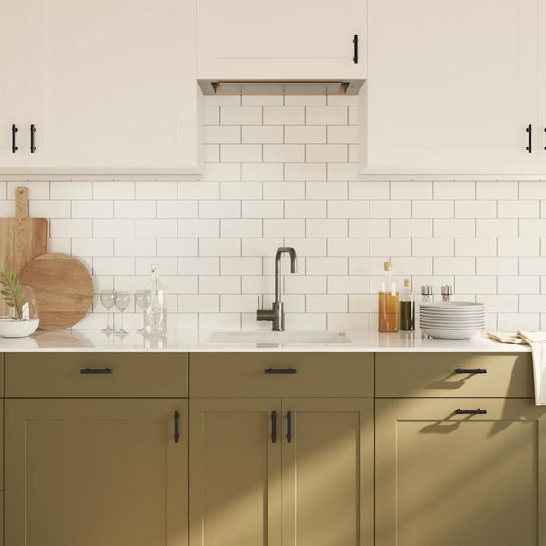 vidaXL Ručke za ormarić 10 kom crne 64 mm od nehrđajućeg čelika