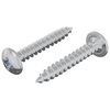 vidaXL Drvene vijake 2 kom. Srebrna M4 x 25 mm Čelik