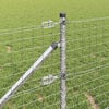 Sličica proizvoda 4 od 11
