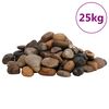 vidaXL Polirani kamenčići 25 kg raznobojni 2 - 5 cm
