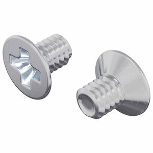 vidaXL Vijci s konusnom glavom 2 kom. Srebrno M4 x 6 mm Čelik