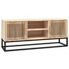 vidaXL TV ormarić 105x30x45 cm od konstruiranog drva i željeza