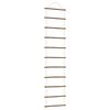 vidaXL Zidni ukras u obliku ljestava 50x200 cm prirodna grana