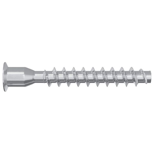 vidaXL Potvrđivački vijci 2 pcs Srebrno &Oslash;7 x 50 mm Metal