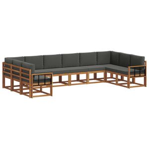 vidaXL Set vanjskih sofa 10 kom. Prirodna i antracit