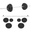 vidaXL Set dvoručnih utega 30 kg