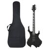 vidaXL Električna gitara za početnike s torbom crna 4/4 39 "